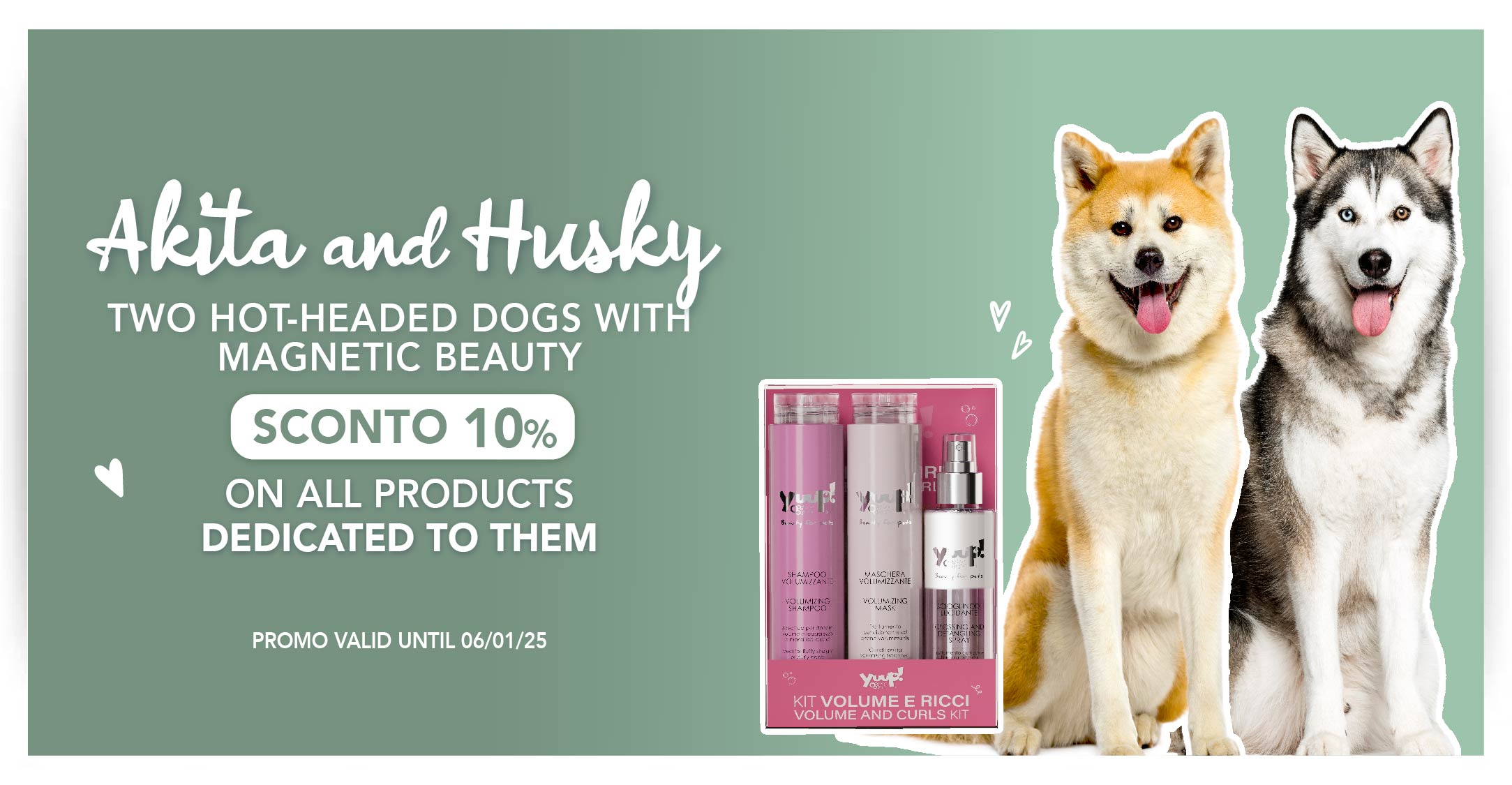 10% sconto Akita e Husky